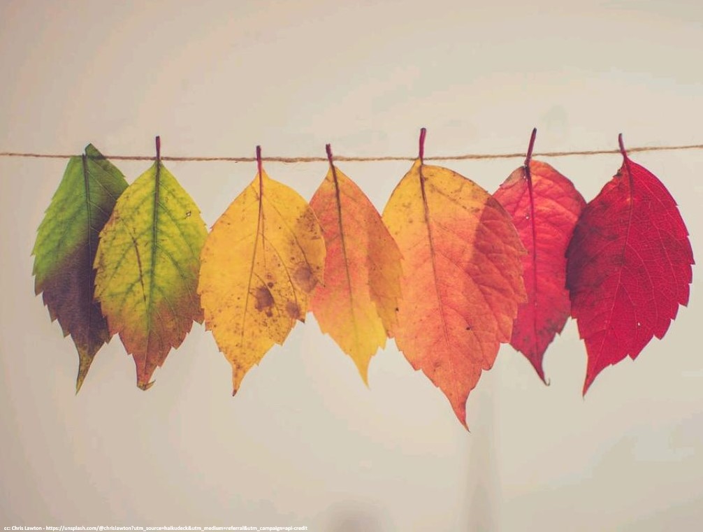 Navigating the Seasons of Personal Change