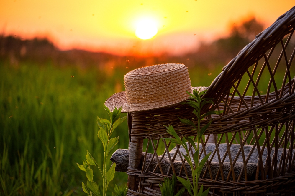 The Sustainable Leader: Managing Your Time, Energy and Resources