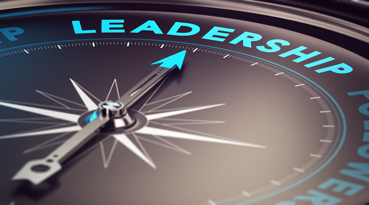 C-Suite Executive, Management Consultancy
